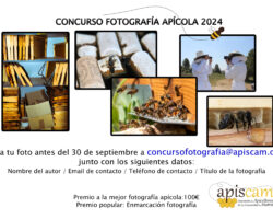 Concurso de fotografia apícola de Apiscam 2024