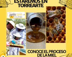 Jornadas de puertas abiertas Apiscam