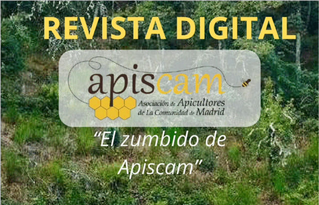 Lee más sobre el artículo Tercer número de la Revista APISCAM