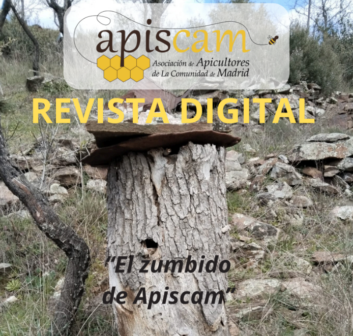Lee más sobre el artículo Cuarto número de la Revista APISCAM