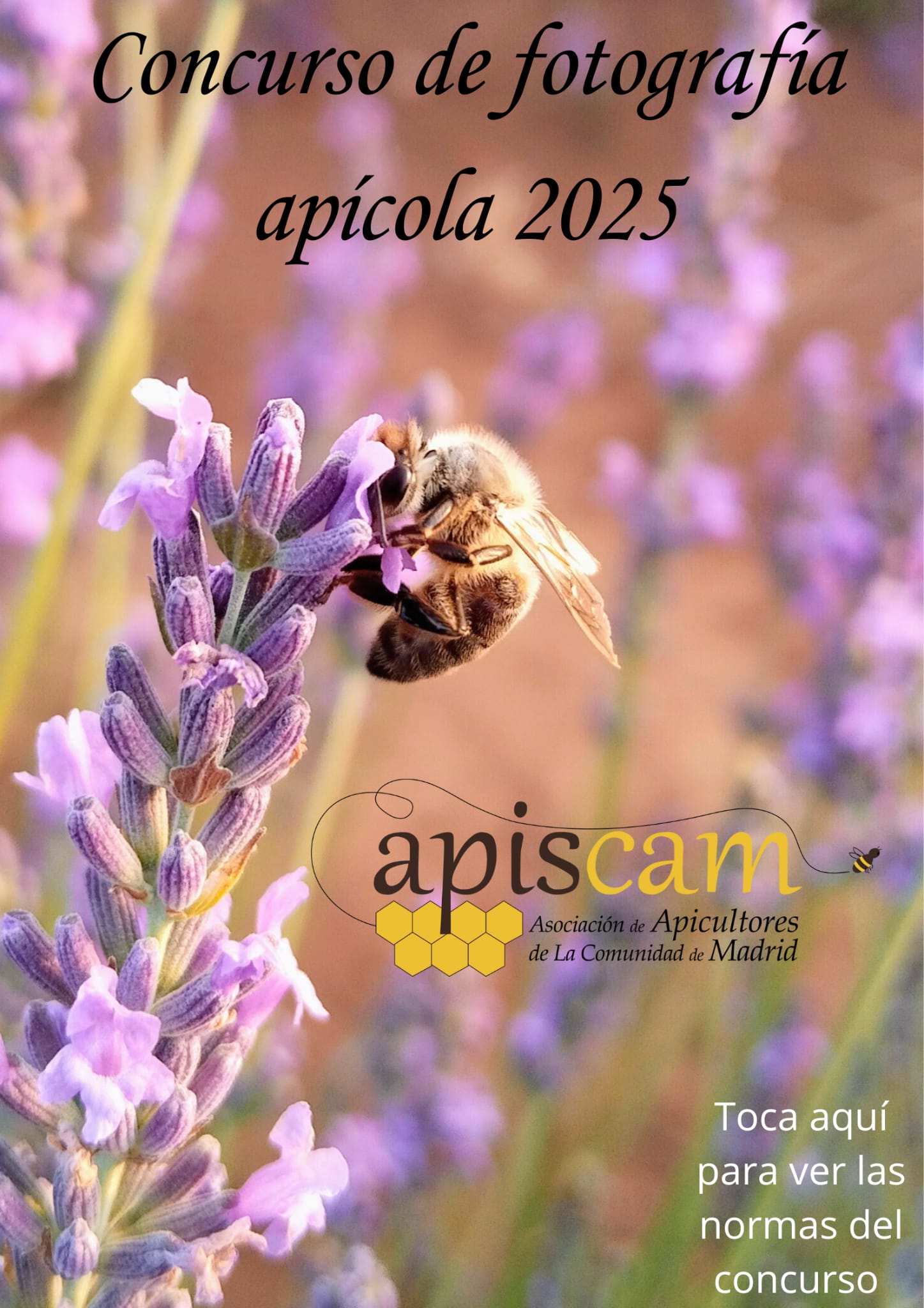 Lee más sobre el artículo CONCURSO DE FOTOGRAFÍA APÍCOLA – APISCAM 2025