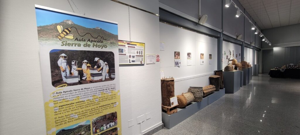 Exposición del Aula Apícola Sierra de Hoyo
